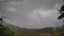 ./images/calvert/fitz-hugh-hecate/20250515/fitz-hugh-hecate20250515_120509M.jpg