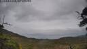 ./images/calvert/fitz-hugh-hecate/20250515/fitz-hugh-hecate20250515_122508M.jpg