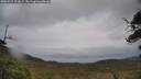 ./images/calvert/fitz-hugh-hecate/20250515/fitz-hugh-hecate20250515_123009M.jpg