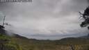 ./images/calvert/fitz-hugh-hecate/20250515/fitz-hugh-hecate20250515_123507M.jpg