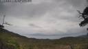 ./images/calvert/fitz-hugh-hecate/20250515/fitz-hugh-hecate20250515_124010M.jpg