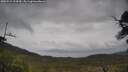 ./images/calvert/fitz-hugh-hecate/20250515/fitz-hugh-hecate20250515_124510M.jpg