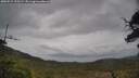 ./images/calvert/fitz-hugh-hecate/20250515/fitz-hugh-hecate20250515_125509M.jpg