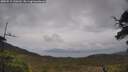 ./images/calvert/fitz-hugh-hecate/20250515/fitz-hugh-hecate20250515_130510M.jpg