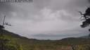 ./images/calvert/fitz-hugh-hecate/20250515/fitz-hugh-hecate20250515_131010M.jpg