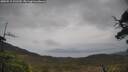 ./images/calvert/fitz-hugh-hecate/20250515/fitz-hugh-hecate20250515_131510M.jpg