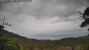 ./images/calvert/fitz-hugh-hecate/20250515/fitz-hugh-hecate20250515_132508M.jpg