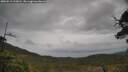 ./images/calvert/fitz-hugh-hecate/20250515/fitz-hugh-hecate20250515_133011M.jpg