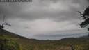 ./images/calvert/fitz-hugh-hecate/20250515/fitz-hugh-hecate20250515_133509M.jpg