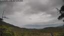 ./images/calvert/fitz-hugh-hecate/20250515/fitz-hugh-hecate20250515_134010M.jpg