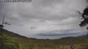 ./images/calvert/fitz-hugh-hecate/20250515/fitz-hugh-hecate20250515_135009M.jpg