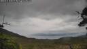 ./images/calvert/fitz-hugh-hecate/20250515/fitz-hugh-hecate20250515_135509M.jpg