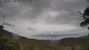 ./images/calvert/fitz-hugh-hecate/20250515/fitz-hugh-hecate20250515_140011M.jpg
