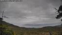 ./images/calvert/fitz-hugh-hecate/20250515/fitz-hugh-hecate20250515_141509M.jpg