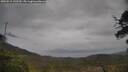 ./images/calvert/fitz-hugh-hecate/20250515/fitz-hugh-hecate20250515_142509M.jpg