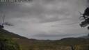 ./images/calvert/fitz-hugh-hecate/20250515/fitz-hugh-hecate20250515_143010M.jpg