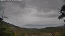 ./images/calvert/fitz-hugh-hecate/20250515/fitz-hugh-hecate20250515_143508M.jpg