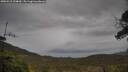./images/calvert/fitz-hugh-hecate/20250515/fitz-hugh-hecate20250515_144010M.jpg