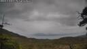 ./images/calvert/fitz-hugh-hecate/20250515/fitz-hugh-hecate20250515_144510M.jpg
