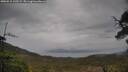 ./images/calvert/fitz-hugh-hecate/20250515/fitz-hugh-hecate20250515_145508M.jpg