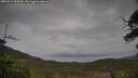 ./images/calvert/fitz-hugh-hecate/20250515/fitz-hugh-hecate20250515_150509M.jpg