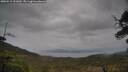 ./images/calvert/fitz-hugh-hecate/20250515/fitz-hugh-hecate20250515_151010M.jpg