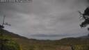 ./images/calvert/fitz-hugh-hecate/20250515/fitz-hugh-hecate20250515_151510M.jpg