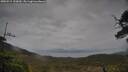 ./images/calvert/fitz-hugh-hecate/20250515/fitz-hugh-hecate20250515_152009M.jpg
