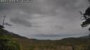 ./images/calvert/fitz-hugh-hecate/20250515/fitz-hugh-hecate20250515_152510M.jpg