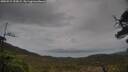 ./images/calvert/fitz-hugh-hecate/20250515/fitz-hugh-hecate20250515_153009M.jpg