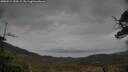 ./images/calvert/fitz-hugh-hecate/20250515/fitz-hugh-hecate20250515_153509M.jpg