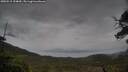 ./images/calvert/fitz-hugh-hecate/20250515/fitz-hugh-hecate20250515_154010M.jpg