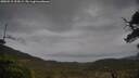 ./images/calvert/fitz-hugh-hecate/20250515/fitz-hugh-hecate20250515_154508M.jpg