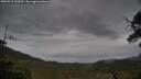 ./images/calvert/fitz-hugh-hecate/20250515/fitz-hugh-hecate20250515_155009M.jpg