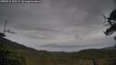 ./images/calvert/fitz-hugh-hecate/20250515/fitz-hugh-hecate20250515_155509M.jpg