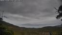 ./images/calvert/fitz-hugh-hecate/20250515/fitz-hugh-hecate20250515_160509M.jpg