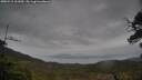 ./images/calvert/fitz-hugh-hecate/20250515/fitz-hugh-hecate20250515_161010M.jpg