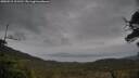 ./images/calvert/fitz-hugh-hecate/20250515/fitz-hugh-hecate20250515_161510M.jpg