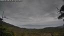 ./images/calvert/fitz-hugh-hecate/20250515/fitz-hugh-hecate20250515_162007M.jpg