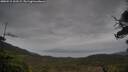./images/calvert/fitz-hugh-hecate/20250515/fitz-hugh-hecate20250515_162509M.jpg