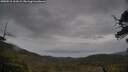 ./images/calvert/fitz-hugh-hecate/20250515/fitz-hugh-hecate20250515_163509M.jpg