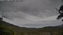 ./images/calvert/fitz-hugh-hecate/20250515/fitz-hugh-hecate20250515_164010M.jpg