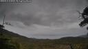 ./images/calvert/fitz-hugh-hecate/20250515/fitz-hugh-hecate20250515_164510M.jpg