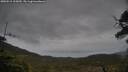 ./images/calvert/fitz-hugh-hecate/20250515/fitz-hugh-hecate20250515_165010M.jpg
