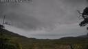 ./images/calvert/fitz-hugh-hecate/20250515/fitz-hugh-hecate20250515_165510M.jpg