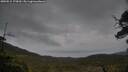 ./images/calvert/fitz-hugh-hecate/20250515/fitz-hugh-hecate20250515_170009M.jpg
