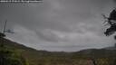 ./images/calvert/fitz-hugh-hecate/20250515/fitz-hugh-hecate20250515_171008M.jpg