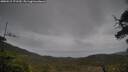 ./images/calvert/fitz-hugh-hecate/20250515/fitz-hugh-hecate20250515_171510M.jpg