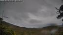 ./images/calvert/fitz-hugh-hecate/20250515/fitz-hugh-hecate20250515_172508M.jpg
