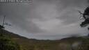 ./images/calvert/fitz-hugh-hecate/20250515/fitz-hugh-hecate20250515_173010M.jpg